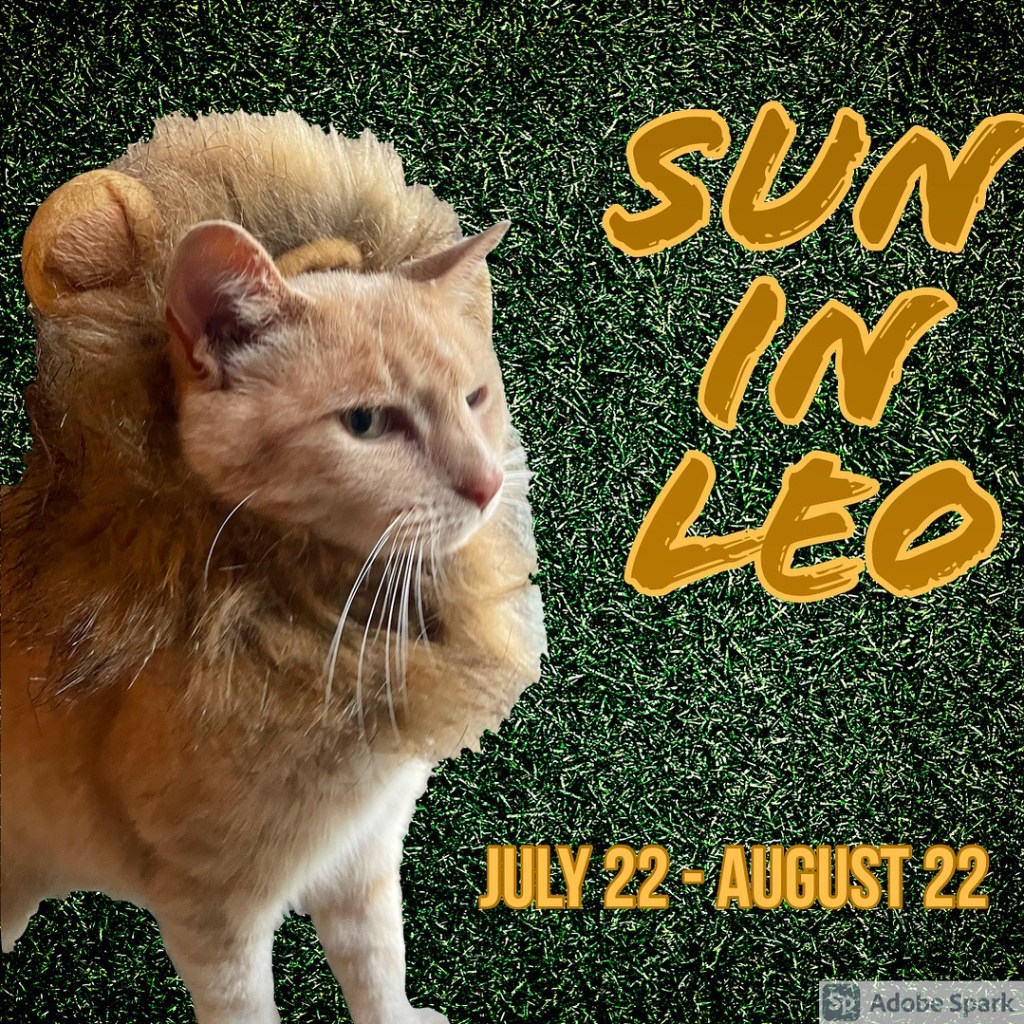 Sun in Leo 7/22 –&nbsp;8/22