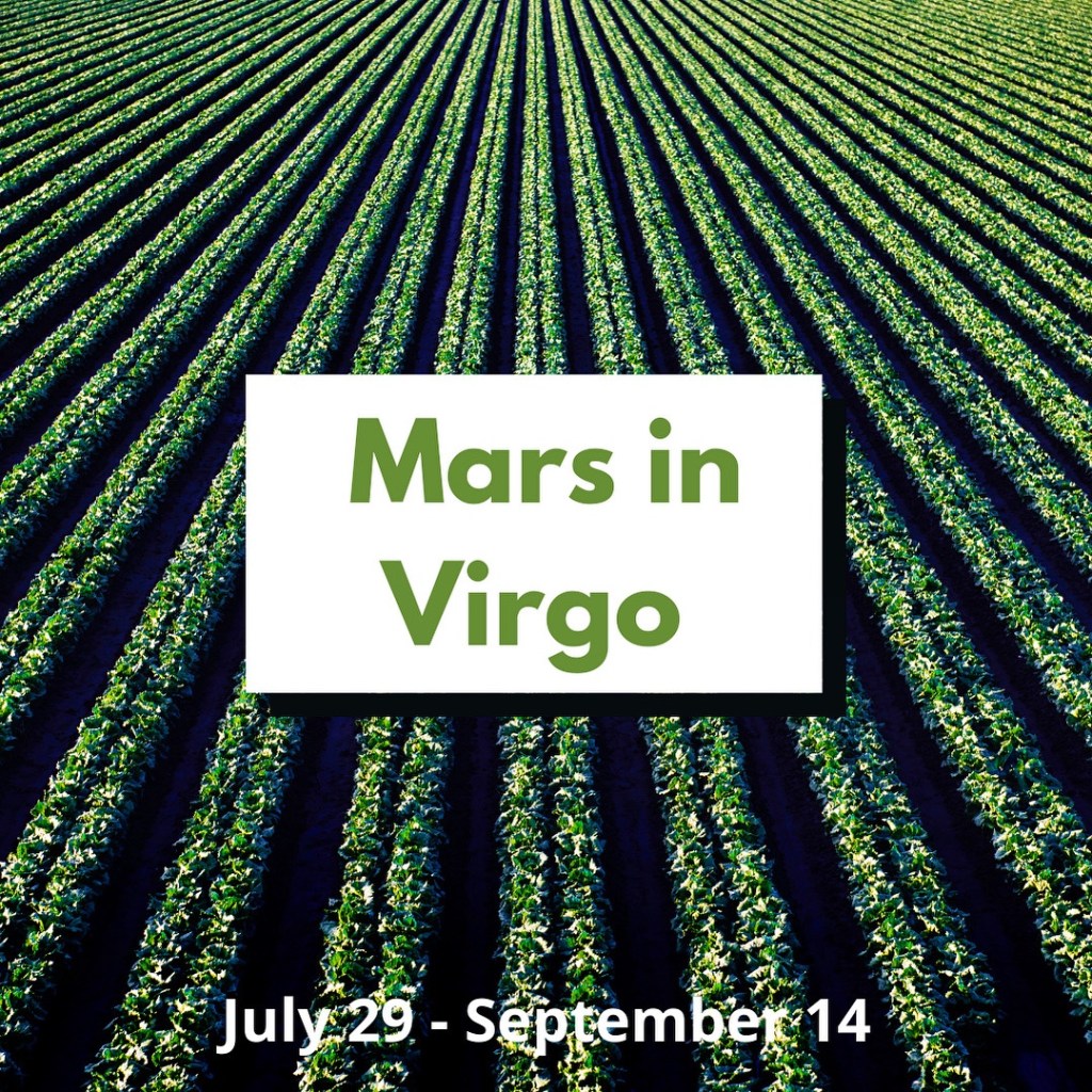 Mars in Virgo 7/29 –&nbsp;9/14