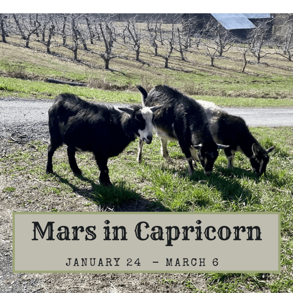 Mars in Capricorn
