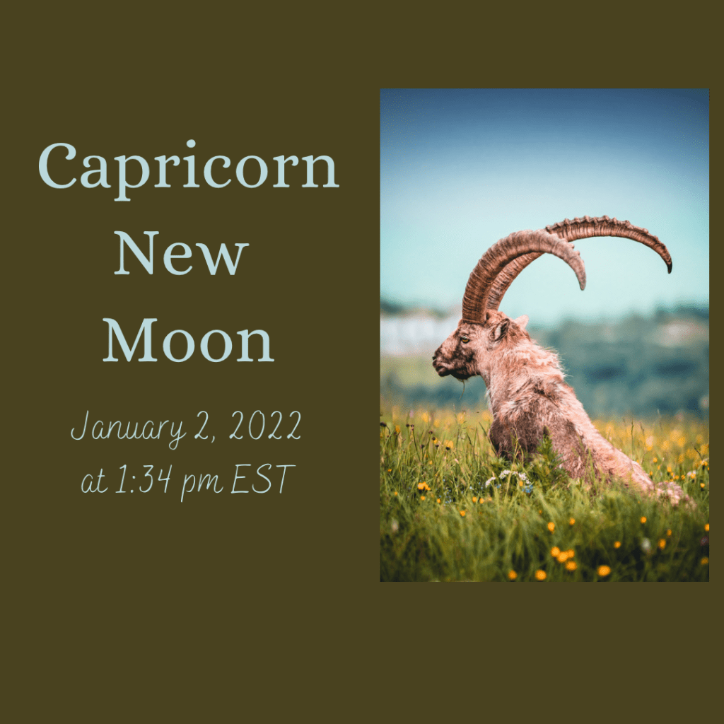 Capricorn New Moon