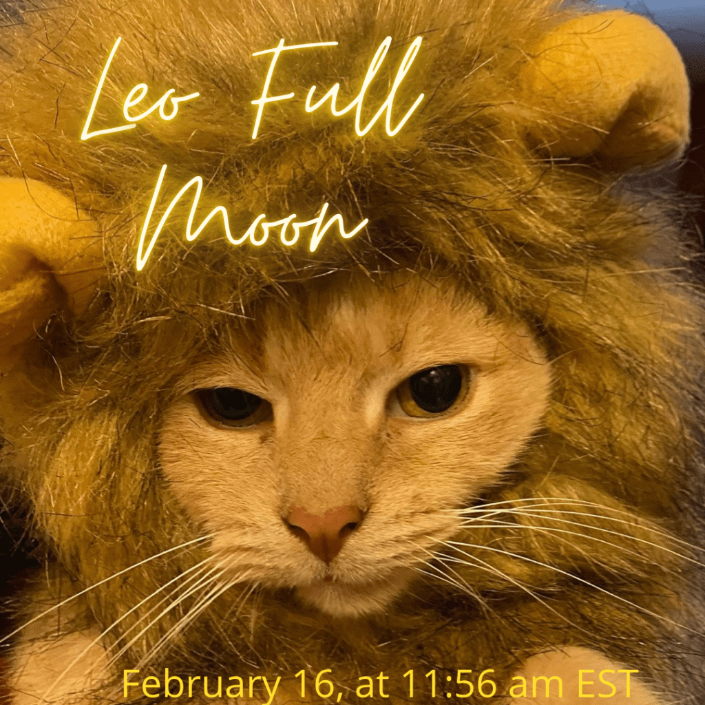 Full Moon in&nbsp;Leo