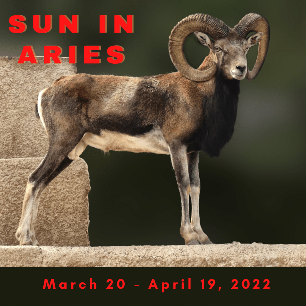 Sun in Aries