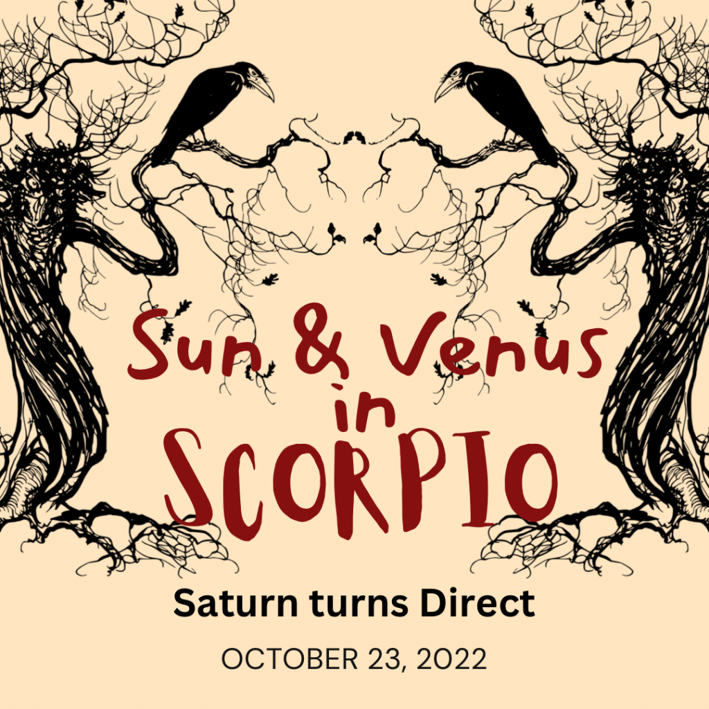 Venus & Sun in Scorpio and Saturn turns&nbsp;Direct