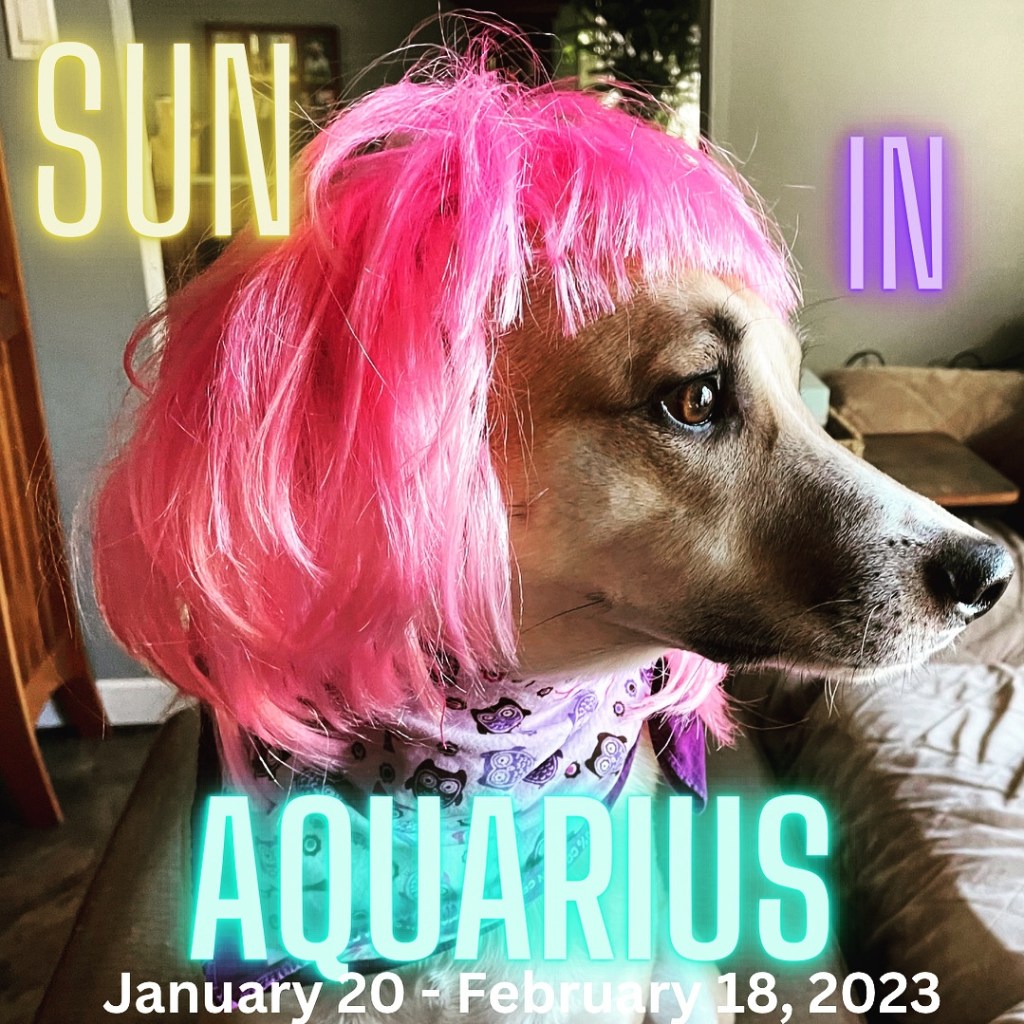 Sun in Aquarius