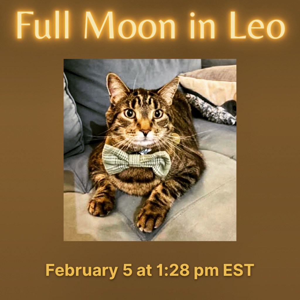 Leo Full Moon