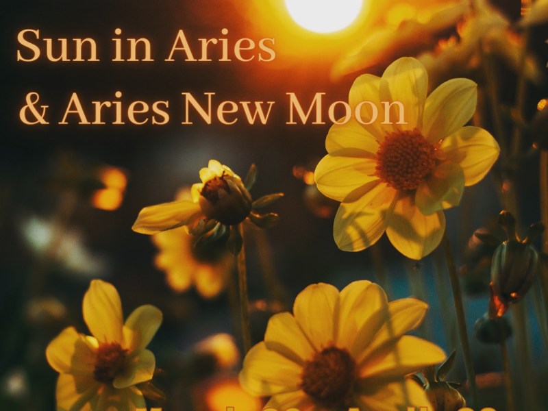 Sun in Aries & Aries New&nbsp;Moon
