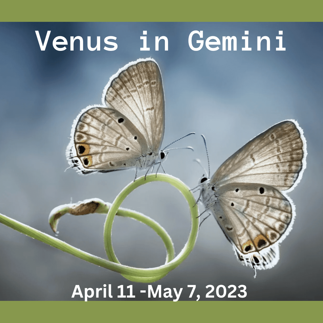 Venus in Gemini