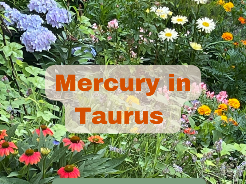 Mercury in Taurus with a side of&nbsp;retrograde